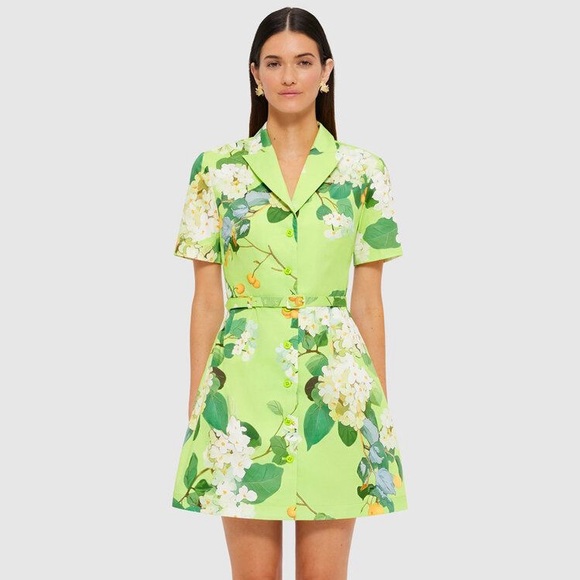 Leo Lin Brigitte Mini Dress Hydrangea Lime Green Belted Cotton Size 6 US NWT - Picture 10 of 14